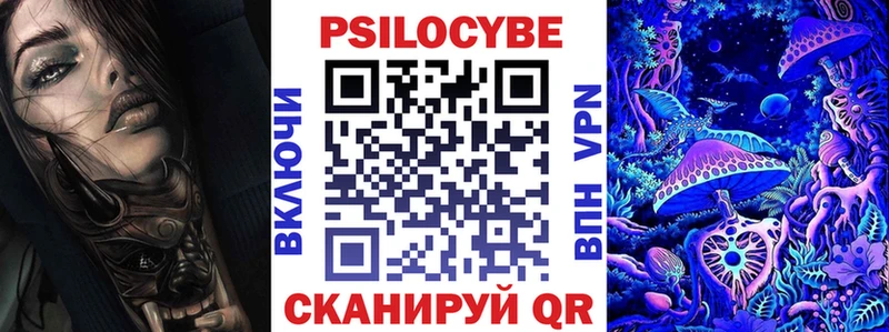 дарнет шоп  Соль-Илецк  Псилоцибиновые грибы прущие грибы 