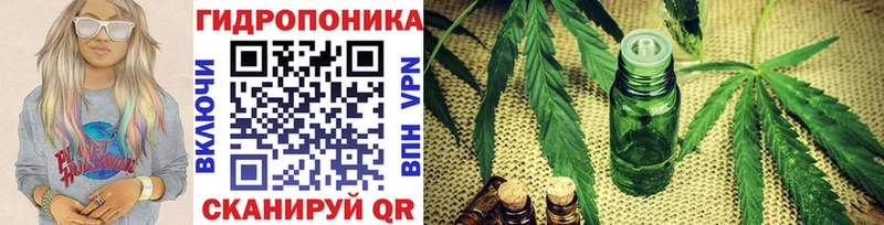 продажа наркотиков  Соль-Илецк  Конопля сатива 