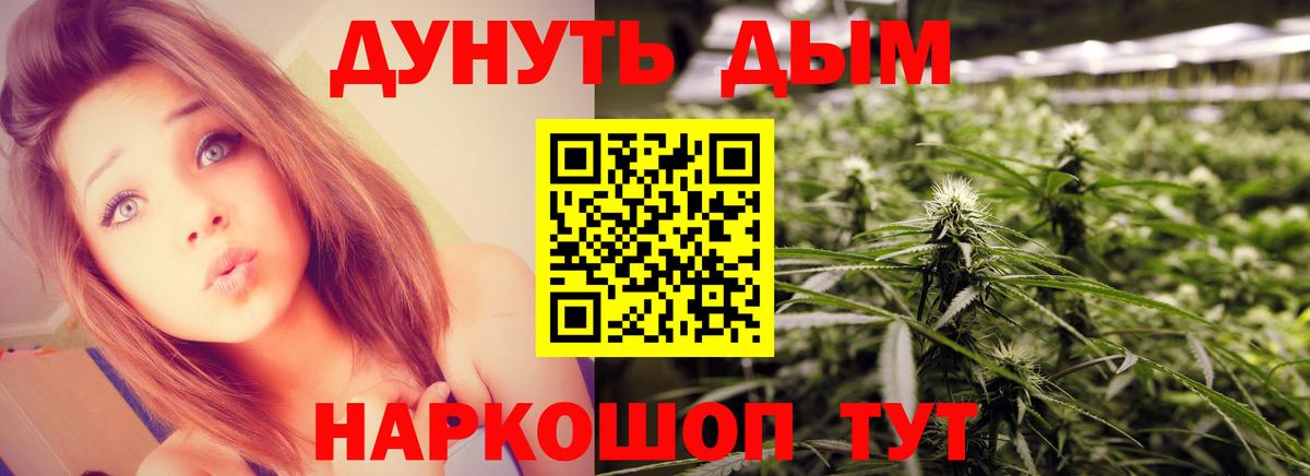Бошки Шишки Bruce Banner  Вход с VPN  Соль-Илецк  Каннабис MAZAR  Марихуана план 